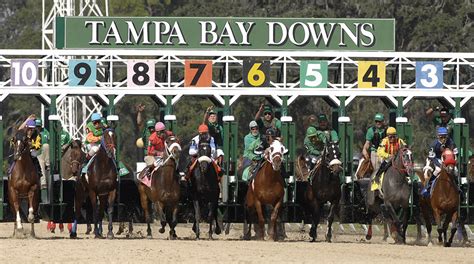 Tampa Bay Downs Race Results Today: Fast + Full Results.